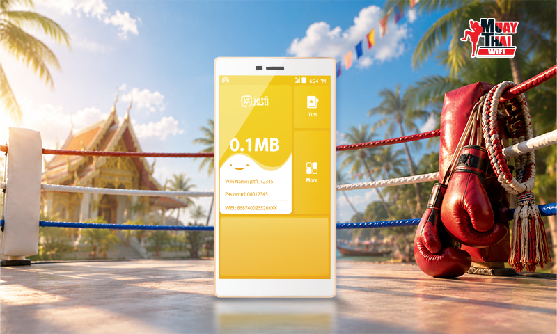 POCKET WiFi 4G